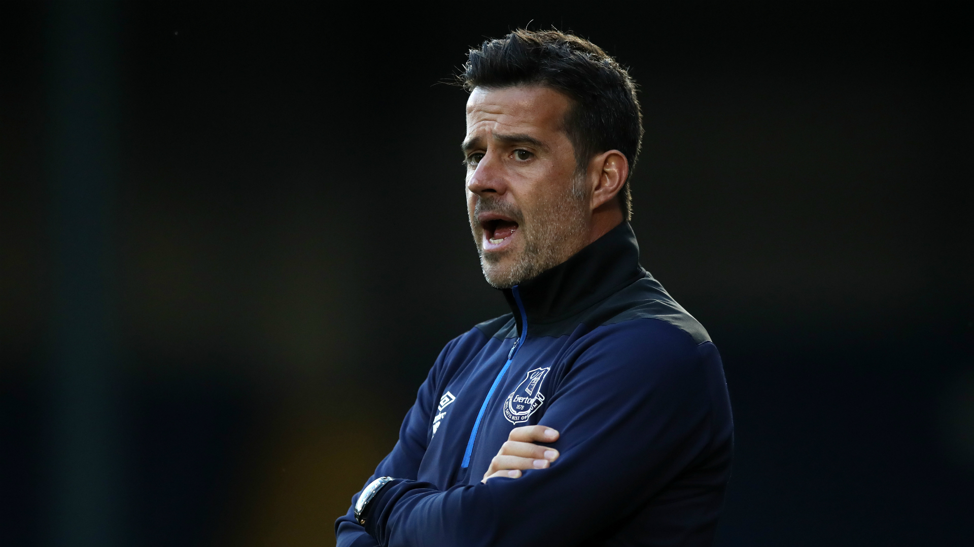 供了强大的 供了强大的