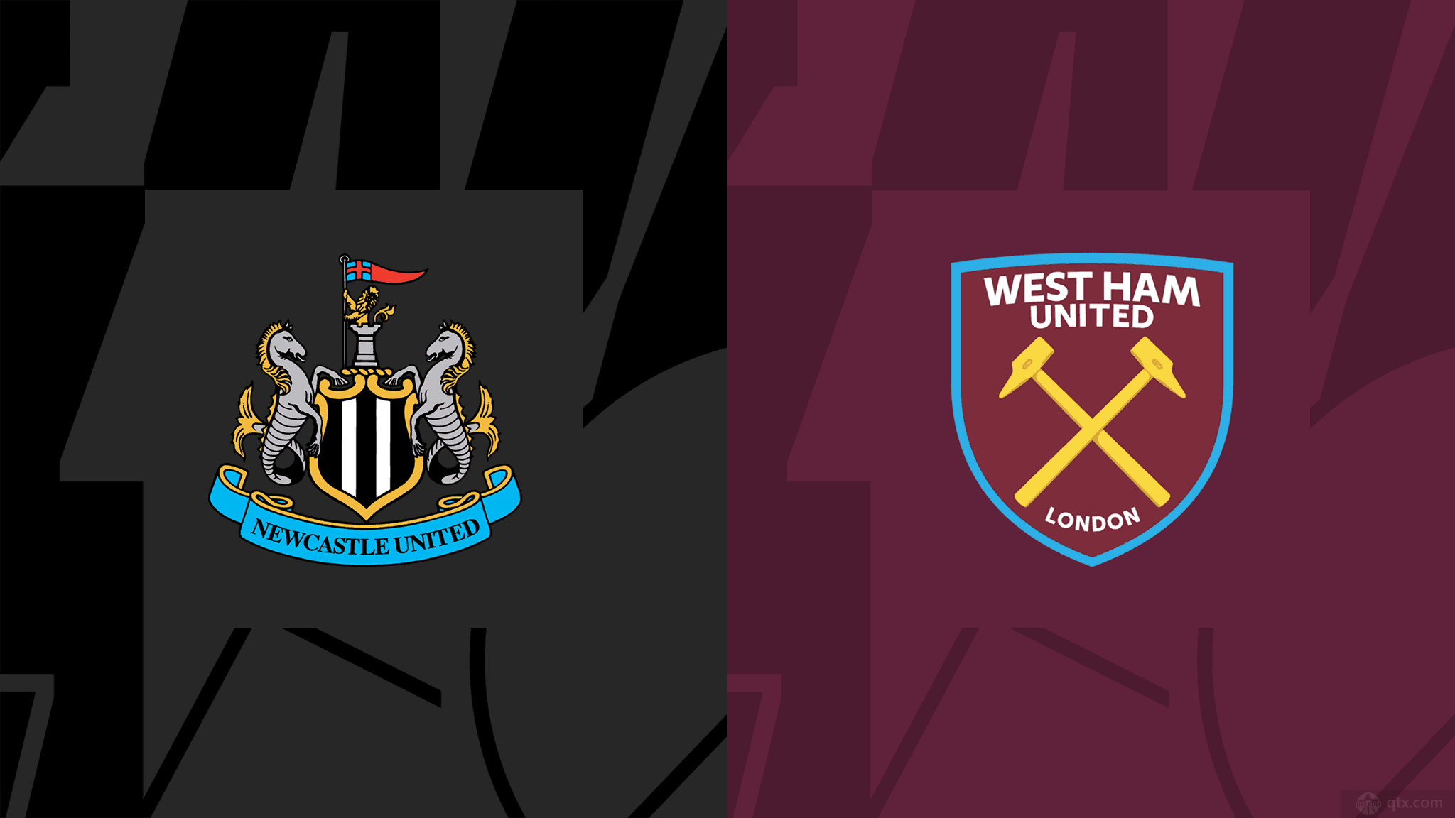 以張琳芃的 以張琳芃的